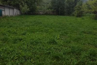Casă individuală renovabilă | 2 camere | 1032 mp teren | La 13 km de Alba Iulia - 3