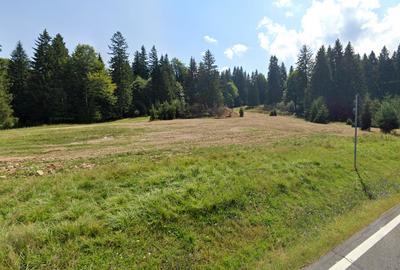 Teren intravilan 10.440 mp – Poiana Brașov | Deschidere 217 ml DN1E | Ideal dezv - 7