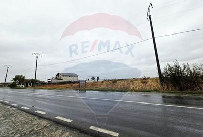 Teren extravilan de vanzare in Frumusani, acces direct DN4 - 3