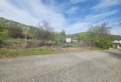 Teren 1,000mp Piatra-Neamt / Zona Fermelor - 3