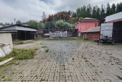 Spațiu industrial de 481mp, cu 1746mp teren în zona Centrala - 3