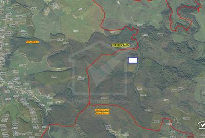 Padure de foioase 35.550MP, acces din loc. Romanasi 5km, jud. Salaj - 1