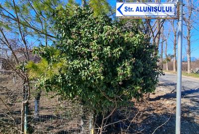 Teren intravilan 13175mp utilitati Ciolpani Strada Alunisului - Padurea Snagov - 13