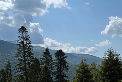 Sinaia, Furnica, 2025 - Pretul include apartament, loc de parcare si boxa!!! - 5