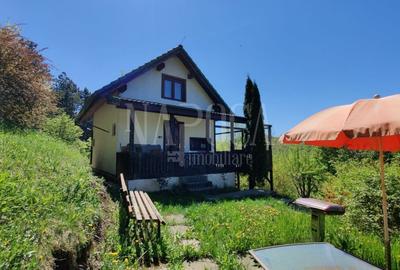 Casa 5 camere de vanzare in Floresti - 11