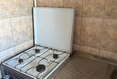 Apartament cu 1 camera - zona Centru - Bld. Stefan cel Mare - Pet Friendly - 3