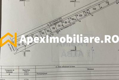 Corbeanca - Tamasi | Teren 1225mp, deschidere 44ml | Utilitati la 50m - 15