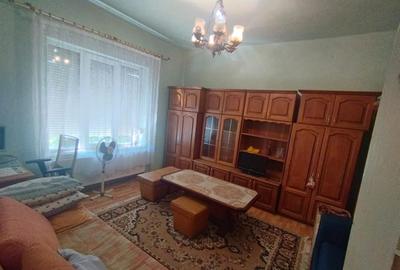 Apart la casa Bogdanestilor  curte  acces cu masina centrala proprie - 4
