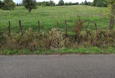 Teren intravilan 12600 mp-utilitati-ideal case, investitie-Livezile - 1