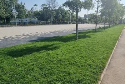 Vanzare 3camere Lujerului Politehnica Totul NOU - 5
