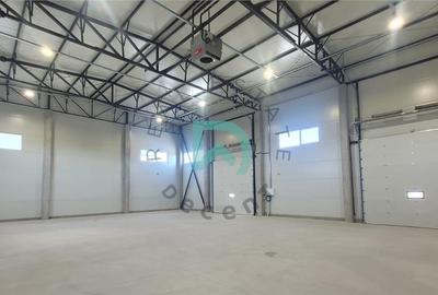 Hala industriala 300 mp Parc Industrial Prejmer,  Brasov - 7