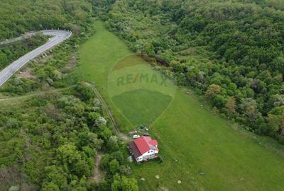 Proprietate OFF-GRID 5,76 Ha. Casa tradiționala lemn. Limită Cluj - 29
