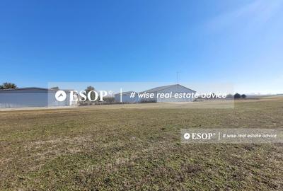 Teren de vanzare, Dascalu, ID 15402 - 18