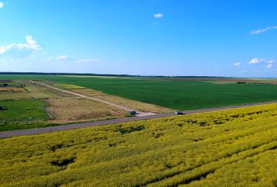 Ocazie. Teren intravilan-PUZ. Comunitate-Liniste. Zona superba langa Frumusani. - 3