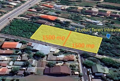 2 Loturi Teren Intravilan 1500 MP Tartasesti Deschidere 30 M / 36 M Utilitati - 1