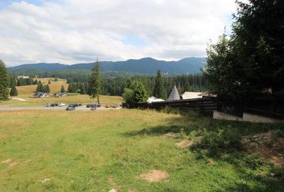 Vand teren Poiana Brasov,Stina  Turistica - 4