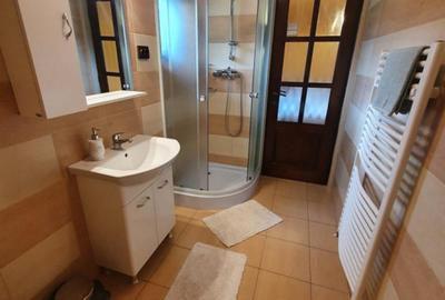 Cabana cu accesc la lac, 1400mp teren Colibita - 5