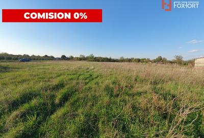 Teren intravilan de 3346 mp cu 2 fronturi - Jebel - 3