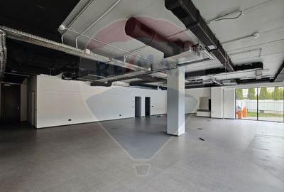 Spațiu comercial - Vitrina - 223 mp - DE INCHIRIAT - zona Garii - 4