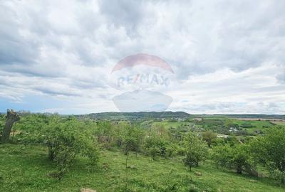 Teren 5,350mp Dobreni / Strada Manastirea Horaita - 6
