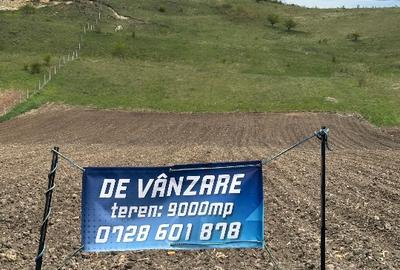 Teren agricol extravilan de 9000 mp, în Baciu