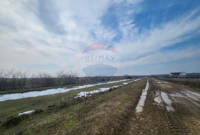 Teren intravilan 3,4 Ha Ciorogarla str.  Nicolae Iorga - 4