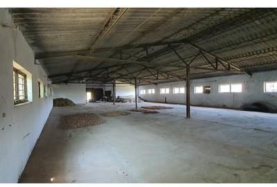 De vanzare/inchiriere spatiu Industrial/agricol cu teren intravilan - 2