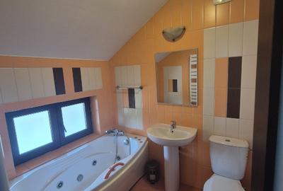 Inchiriere Vila P+1 Paradisul Verde Corbeanca (Direct Proprietar) - 9