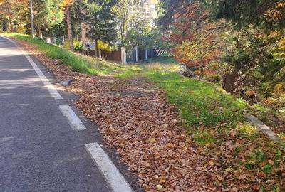 Teren Construcții intravilan de 2000 mp, în Poiana Brașov - 2