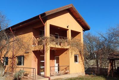 Casă individuală cu 3 camere în Central