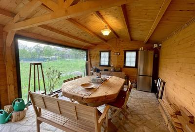 Proprietate de vis la munte  | Foisor + Cabanuta | Utilitati complete - 2