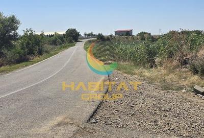 Teren intravilan – PUZ aprobat, utilitati 150m, asfalt - Ambient Lake Events - 3