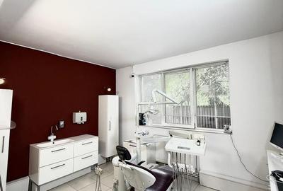 Vila/Spatiu comercial Bd Pipera - 13
