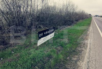 Teren Construcții intravilan de 4672 mp, în Ișalnița