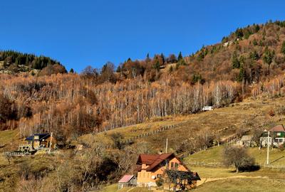 Teren de vânzare în sat Măgura/ Brasov– loc pentru familie, liniște și suflet - 6