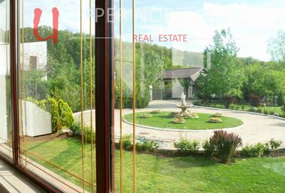 Mansion Luxuriant | Piscina Interioara | Teren tenis | 2500 mp gradina superba - 19