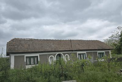 Localitatea Stupina - teren agricol intravian -  7913 mp - 80.000 Euro - 1
