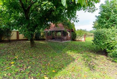 Vila  6 camere in Cristur, jud Hunedoara - 54