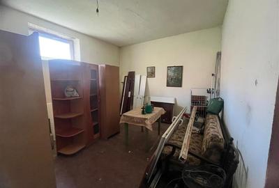 Valisoara, Casa la curte si Teren 3040 Mp, 10 minute de Caransebes - 4