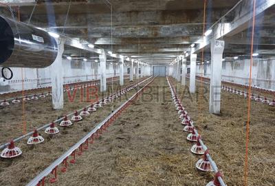 Ferma avicola populata, aparoape de Oradea - 3