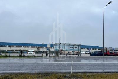 Teren Intravilan | Zona Industriala Vest | 20.663 mp - 8