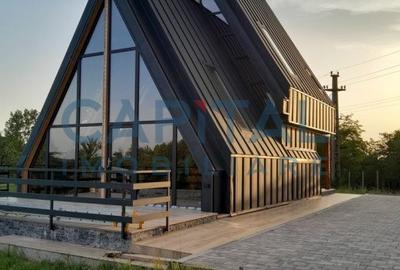Oportunitate! Casa de vacanta A-frame, judetul Arges - 1