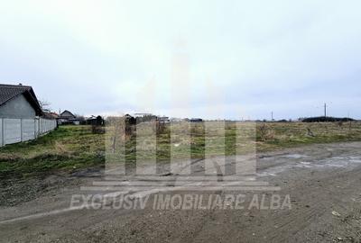 Teren intravilan | De vanzare | 5500 mp | 20 ml deschidere | Sebes - 2