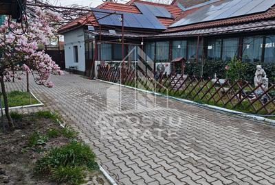 Casa individuala de vanzare, cu 4 camere si 2 garaje, zona Lipovei - 1