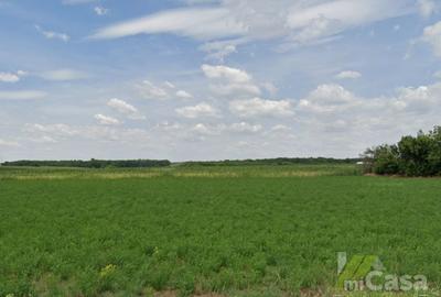 Teren extravilan – oportunitate strategică de investiție | Galați - 1