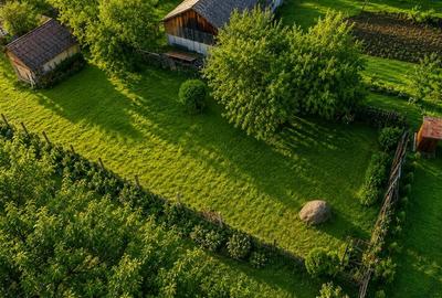 FILM! Gospodarie cu atmosfera traditionala,1.032 mp de verde si gradinarit, Sanz - 5