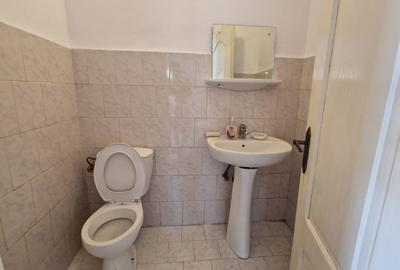 INCHIRIERE Casa individuala D + P + E + M cu 8 Camere 5 Bai 750 mp Teren CETATE - 6