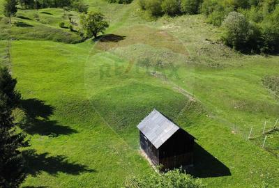 Teren 12,127mp Frasin / Drumul Forestier Valea Seacă - 15