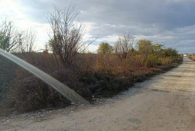 Teren pentru Constructii str.Ortansei -str Orhideei deschidere 364m pe 30m - 1