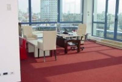 230 mp  birouri Victoriei - 1